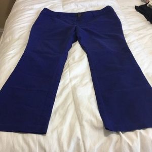 Blue/purple Target Slacks